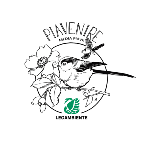 Piavenire